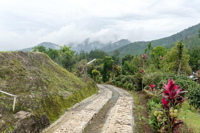 12 - Gelatik Pod - Hilltop Camp Lembang at Twospaces