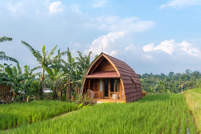 Dangau Rambun