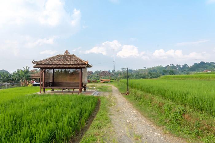 W9 - Dangau Rambun - deRos Resort & Cafe at Twospaces